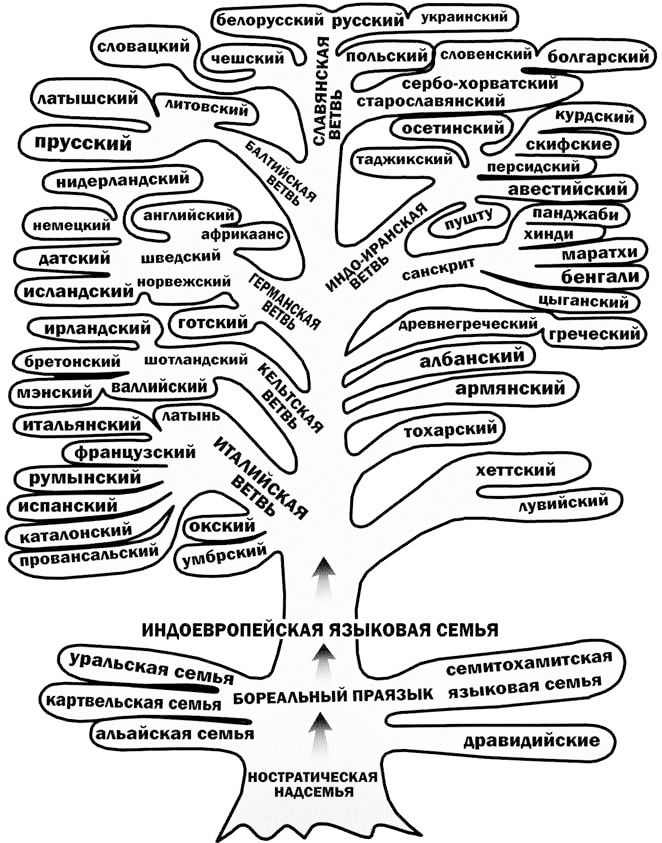 Иллюстрация к книге — Эволюция на пальцах. Для детей и родителей, которые хотят объяснять детям [_32.jpg]