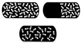 Иллюстрация к книге — Эволюция на пальцах. Для детей и родителей, которые хотят объяснять детям [_5.jpg]