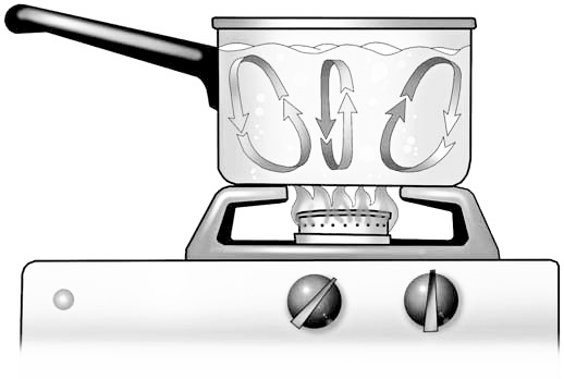 Иллюстрация к книге — Эволюция на пальцах. Для детей и родителей, которые хотят объяснять детям [_8.jpg]