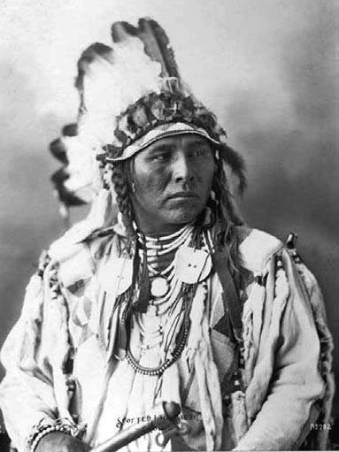 Иллюстрация к книге — Военное дело индейцев Дикого Запада. Самая полная энциклопедия [i_022.jpg]