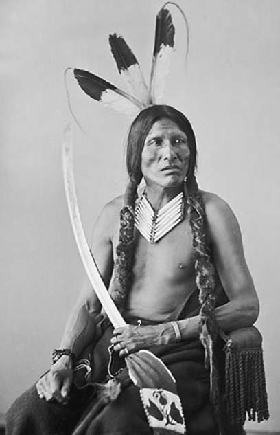 Иллюстрация к книге — Военное дело индейцев Дикого Запада. Самая полная энциклопедия [i_034.jpg]