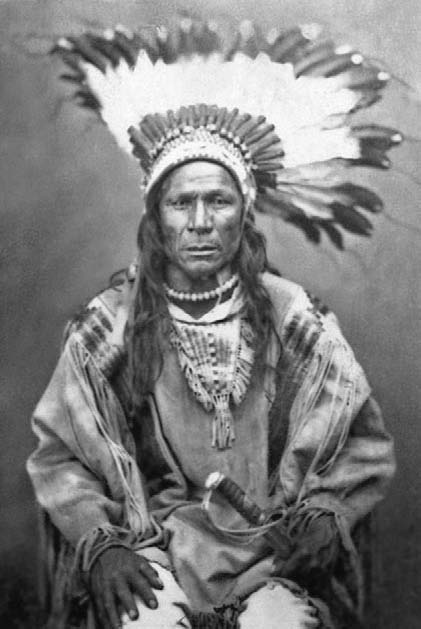 Иллюстрация к книге — Военное дело индейцев Дикого Запада. Самая полная энциклопедия [i_038.jpg]