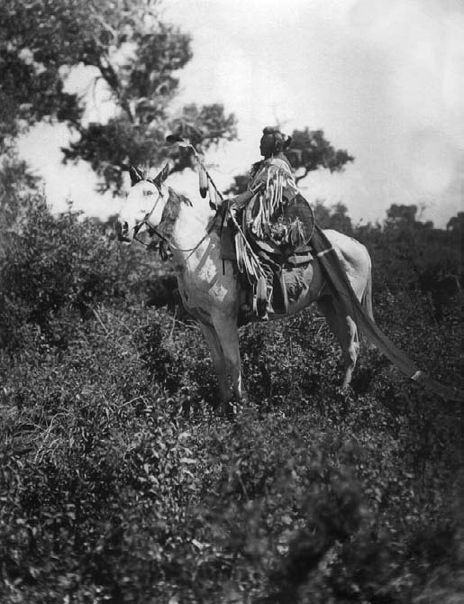 Иллюстрация к книге — Военное дело индейцев Дикого Запада. Самая полная энциклопедия [i_057.jpg]