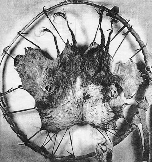 Иллюстрация к книге — Военное дело индейцев Дикого Запада. Самая полная энциклопедия [i_076.jpg]