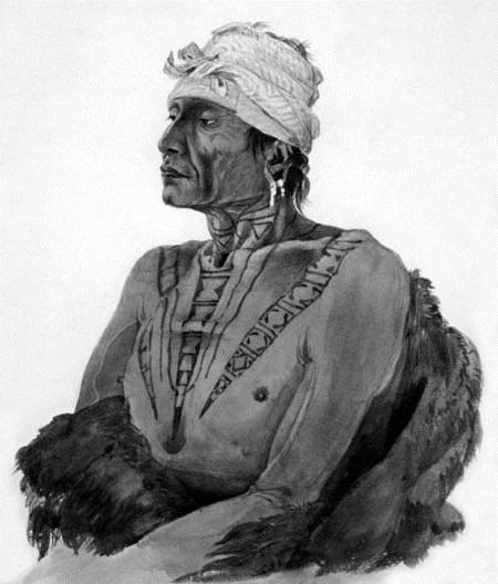 Иллюстрация к книге — Военное дело индейцев Дикого Запада. Самая полная энциклопедия [i_084.jpg]