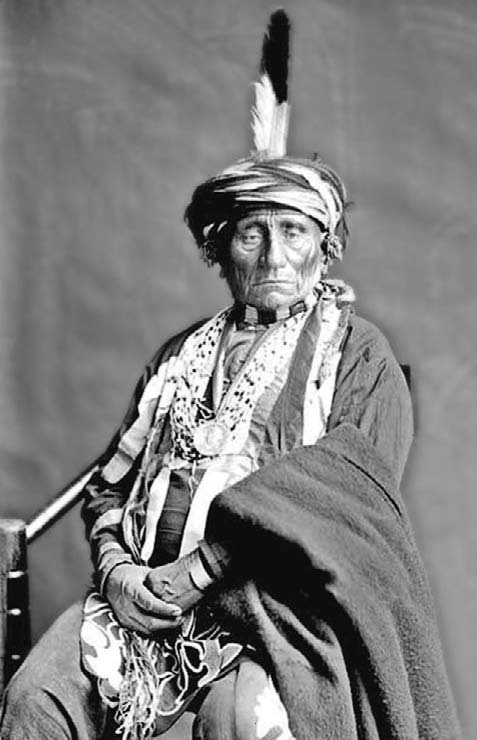 Иллюстрация к книге — Военное дело индейцев Дикого Запада. Самая полная энциклопедия [i_091.jpg]