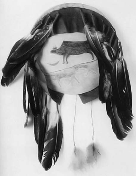 Иллюстрация к книге — Военное дело индейцев Дикого Запада. Самая полная энциклопедия [i_099.jpg]