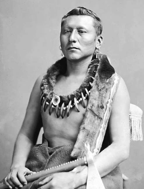 Иллюстрация к книге — Военное дело индейцев Дикого Запада. Самая полная энциклопедия [i_113.jpg]