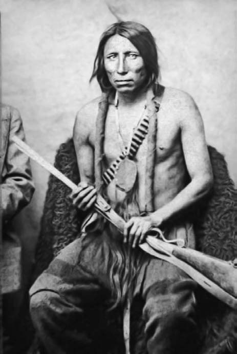 Иллюстрация к книге — Военное дело индейцев Дикого Запада. Самая полная энциклопедия [i_115.jpg]