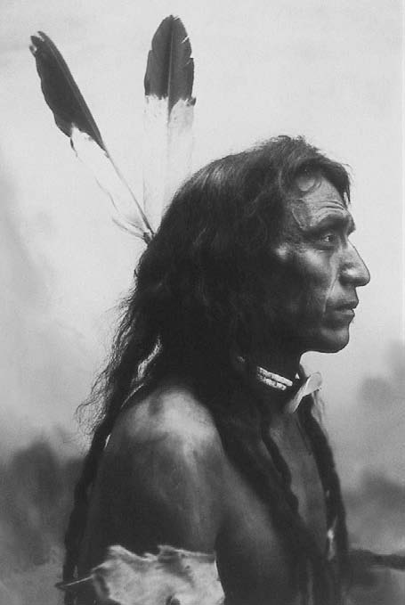 Иллюстрация к книге — Военное дело индейцев Дикого Запада. Самая полная энциклопедия [i_119.jpg]