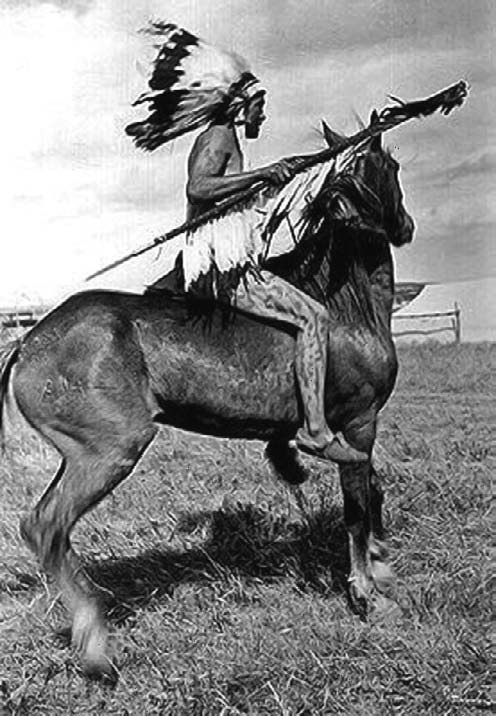 Иллюстрация к книге — Военное дело индейцев Дикого Запада. Самая полная энциклопедия [i_126.jpg]