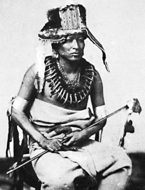 Иллюстрация к книге — Военное дело индейцев Дикого Запада. Самая полная энциклопедия [i_142.jpg]