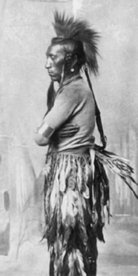 Иллюстрация к книге — Военное дело индейцев Дикого Запада. Самая полная энциклопедия [i_173.jpg]