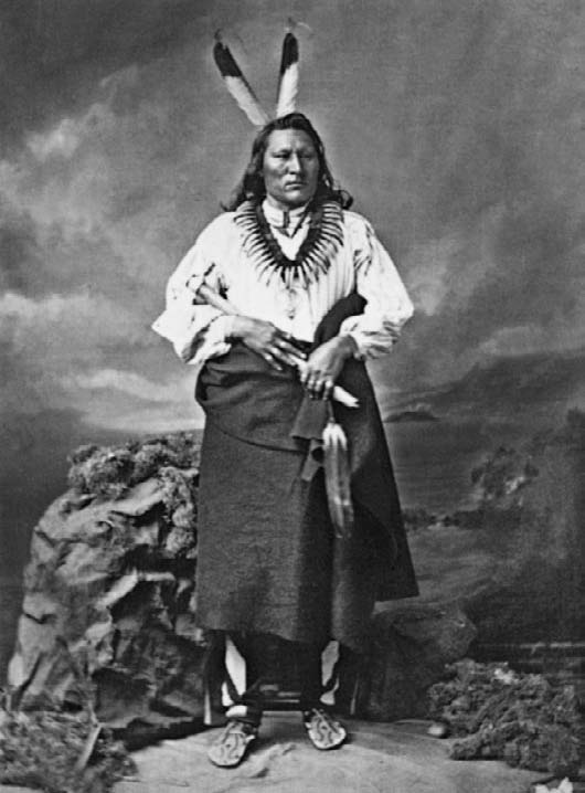 Иллюстрация к книге — Военное дело индейцев Дикого Запада. Самая полная энциклопедия [i_193.jpg]