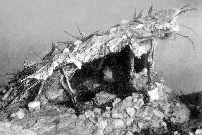 Иллюстрация к книге — Всеобщая история архитектуры и строительной техники. Учебник. В 3 частях. Часть 1. История архитектуры и строительной техники Древнего и античного мира [i_002.jpg]