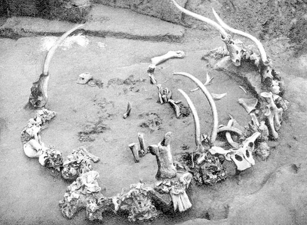 Иллюстрация к книге — Всеобщая история архитектуры и строительной техники. Учебник. В 3 частях. Часть 1. История архитектуры и строительной техники Древнего и античного мира [i_003.jpg]