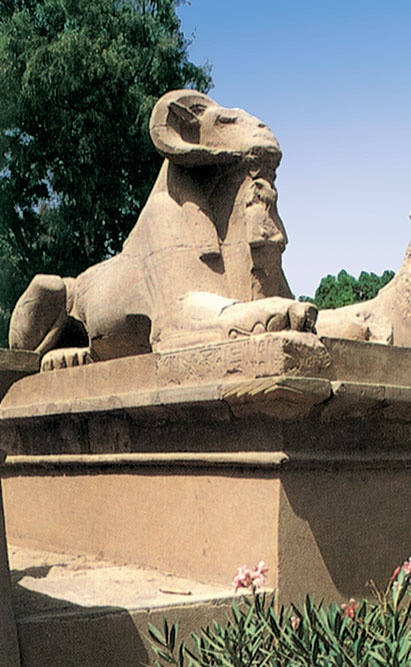 Иллюстрация к книге — Всеобщая история архитектуры и строительной техники. Учебник. В 3 частях. Часть 1. История архитектуры и строительной техники Древнего и античного мира [i_186.jpg]