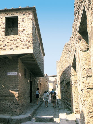 Иллюстрация к книге — Всеобщая история архитектуры и строительной техники. Учебник. В 3 частях. Часть 1. История архитектуры и строительной техники Древнего и античного мира [i_311.jpg]