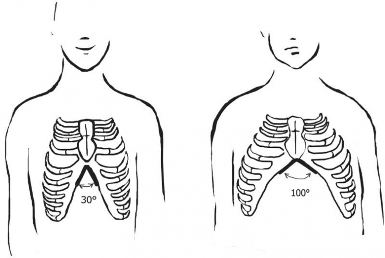 Иллюстрация к книге — Кишечник. Как у тебя дела? [i_012.jpg]