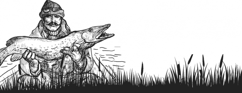 Иллюстрация к книге — Чижик-Пыжик [_100.jpg]