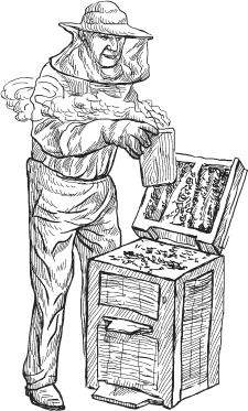 Иллюстрация к книге — Чижик-Пыжик [_102.jpg]