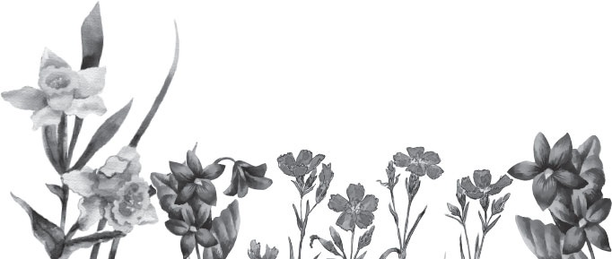 Иллюстрация к книге — Чижик-Пыжик [_104.jpg]