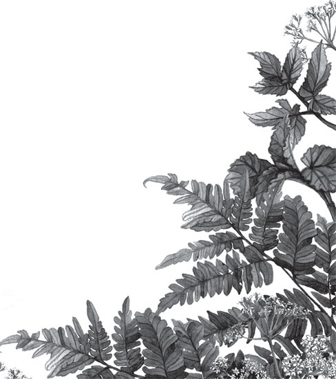 Иллюстрация к книге — Чижик-Пыжик [_105.jpg]