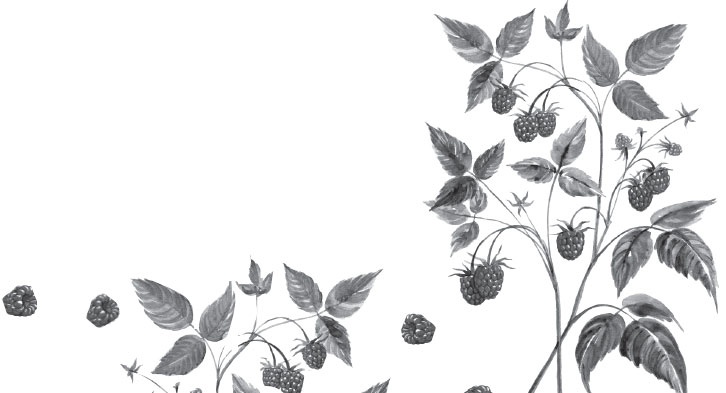 Иллюстрация к книге — Чижик-Пыжик [_107.jpg]