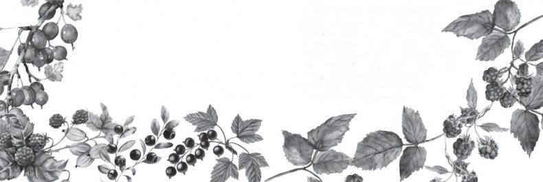 Иллюстрация к книге — Чижик-Пыжик [_111.jpg]