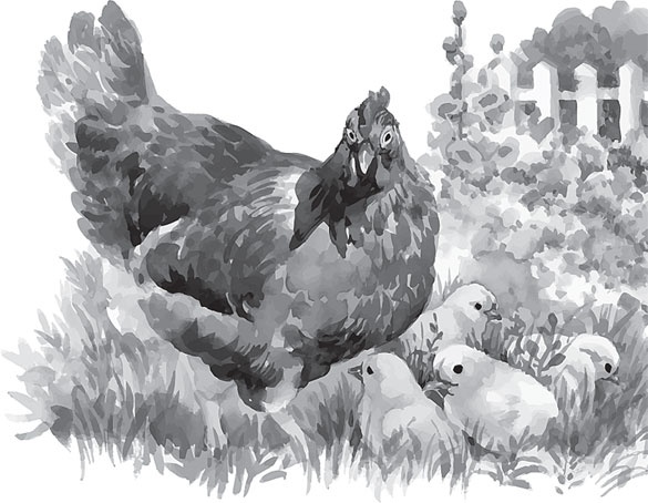 Иллюстрация к книге — Чижик-Пыжик [_114.jpg]