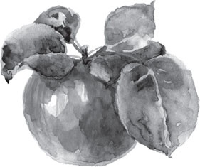 Иллюстрация к книге — Чижик-Пыжик [_128.jpg]