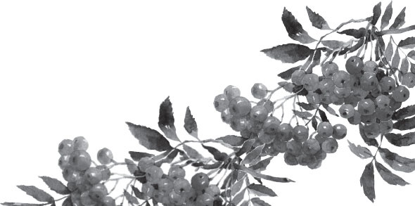 Иллюстрация к книге — Чижик-Пыжик [_129.jpg]