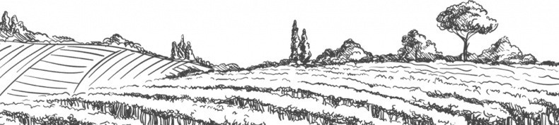 Иллюстрация к книге — Чижик-Пыжик [_132.jpg]