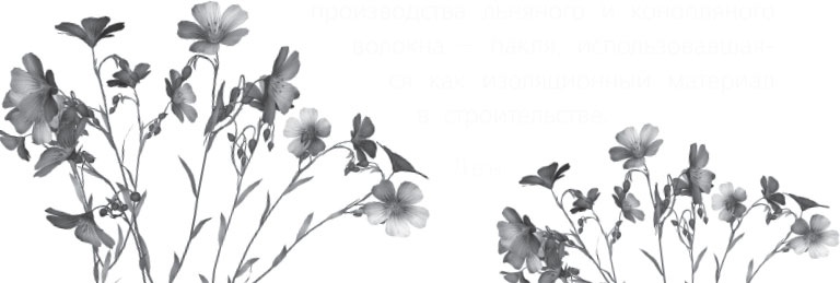 Иллюстрация к книге — Чижик-Пыжик [_134.jpg]