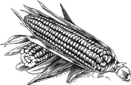 Иллюстрация к книге — Чижик-Пыжик [_136.jpg]