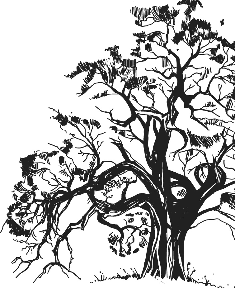 Иллюстрация к книге — Чижик-Пыжик [_143.jpg]