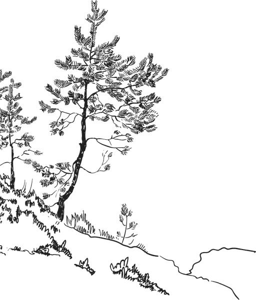 Иллюстрация к книге — Чижик-Пыжик [_144.jpg]