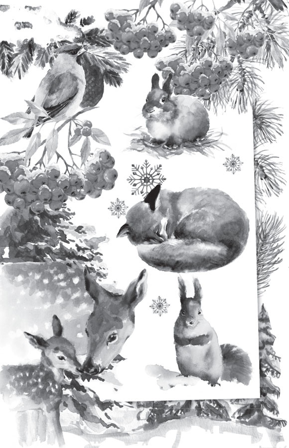 Иллюстрация к книге — Чижик-Пыжик [_2.jpg]