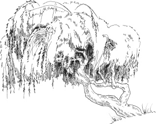 Иллюстрация к книге — Чижик-Пыжик [_21.jpg]