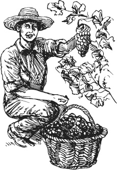 Иллюстрация к книге — Чижик-Пыжик [_22.jpg]