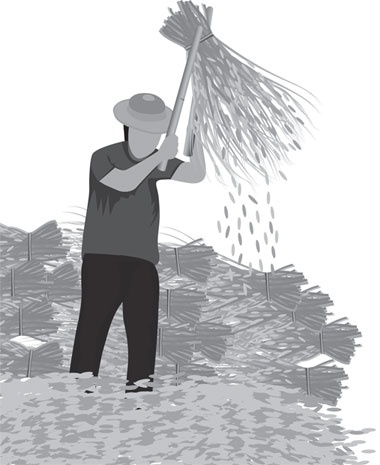 Иллюстрация к книге — Чижик-Пыжик [_24.jpg]