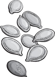 Иллюстрация к книге — Чижик-Пыжик [_26.jpg]