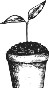 Иллюстрация к книге — Чижик-Пыжик [_28.jpg]