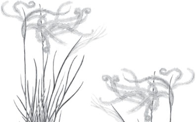 Иллюстрация к книге — Чижик-Пыжик [_29.jpg]