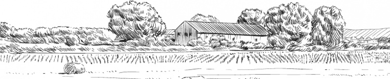 Иллюстрация к книге — Чижик-Пыжик [_34.jpg]