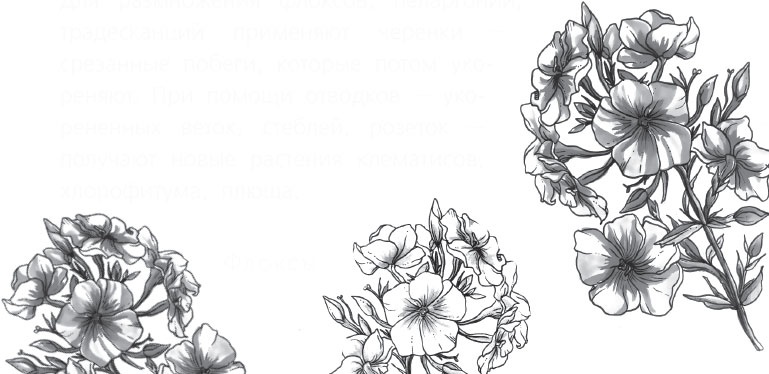 Иллюстрация к книге — Чижик-Пыжик [_36.jpg]