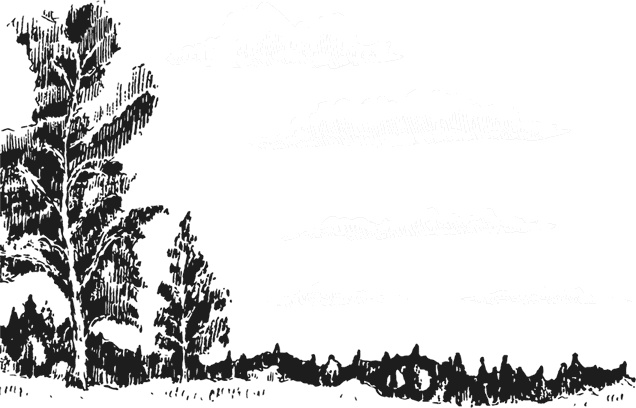 Иллюстрация к книге — Чижик-Пыжик [_44.jpg]