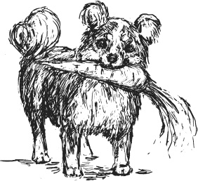 Иллюстрация к книге — Чижик-Пыжик [_49.jpg]