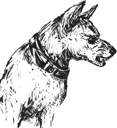 Иллюстрация к книге — Чижик-Пыжик [_50.jpg]