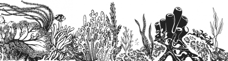 Иллюстрация к книге — Чижик-Пыжик [_52.jpg]